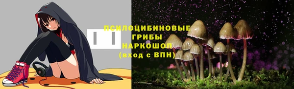 apvp Алексеевка