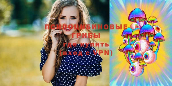 бошки Алексин