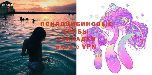 дмт Абаза