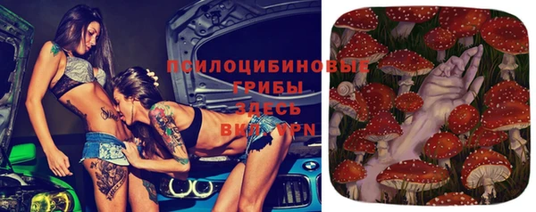 амф Дмитровск